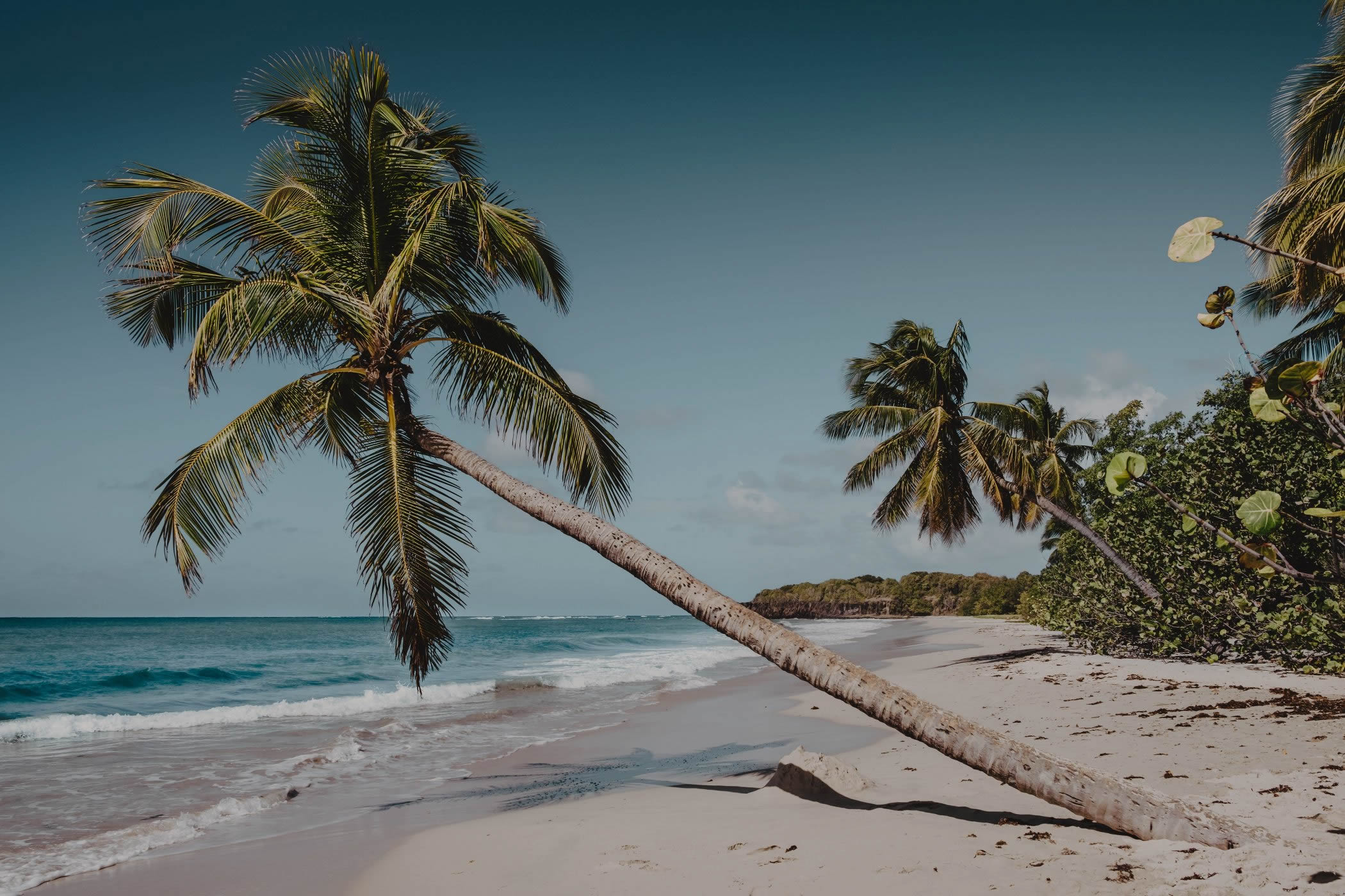 Travel-Agency6-dd4