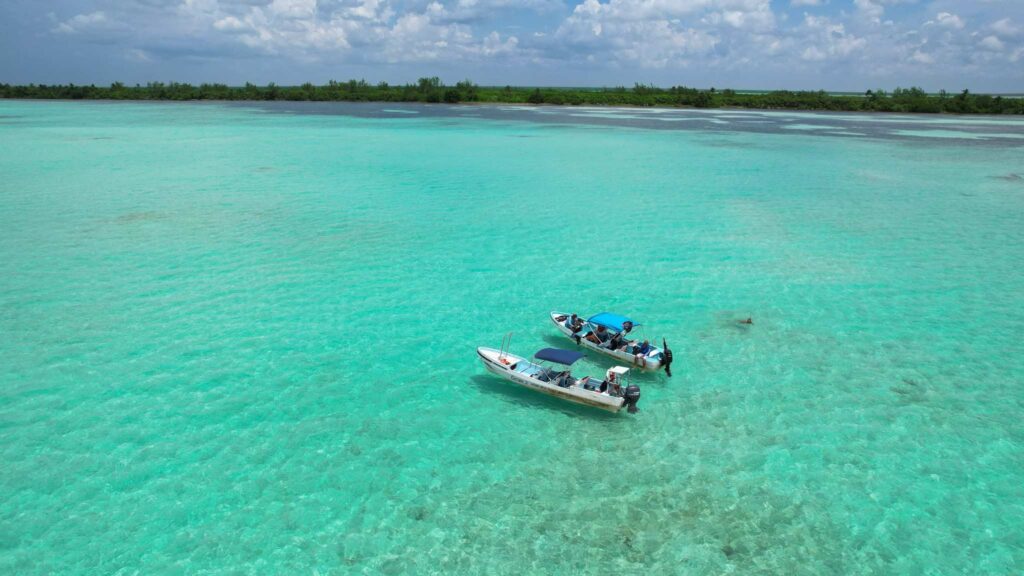 Excursion en lancha à Sian Ka’an à travers les canaux mayas et la mangrove